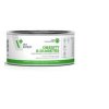 VetExpert cat Obesity& Diabetes konzerva 100 g