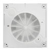 267ab28b90e818 decor design 100 d3 48178 preview exact 0 300x300
