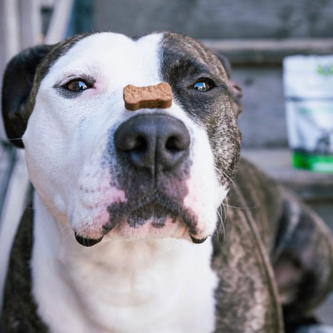 Jak může vitamin A podporovat celkové zdraví