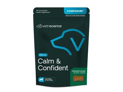 Calm & Confident dog.jpg