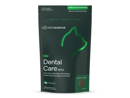 Dental Care bites
