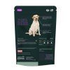 GY E&T Eye & Viusion Health Dog 2