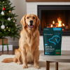 Calm Confident dog fast ed6f24