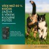 Hip cat 2cz