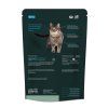 Calm & Confident Cat 2