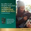 dental 2cz