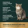 Kidney cat 4cz