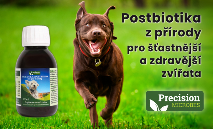 Precizní mikroby na zažívací potíže