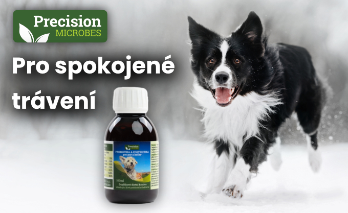 Precizní mikroby na zažívací potíže