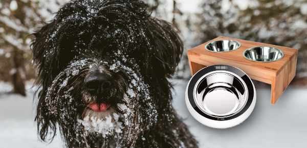 Zdraví, pohodlí a styl: Novinky pro vaše mazlíčky v roce 2026