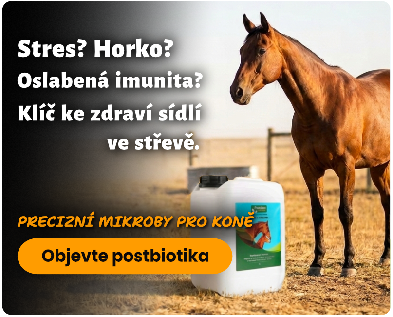 Precizní mikroby pro koně na stres, horko, oslabenou imunitu