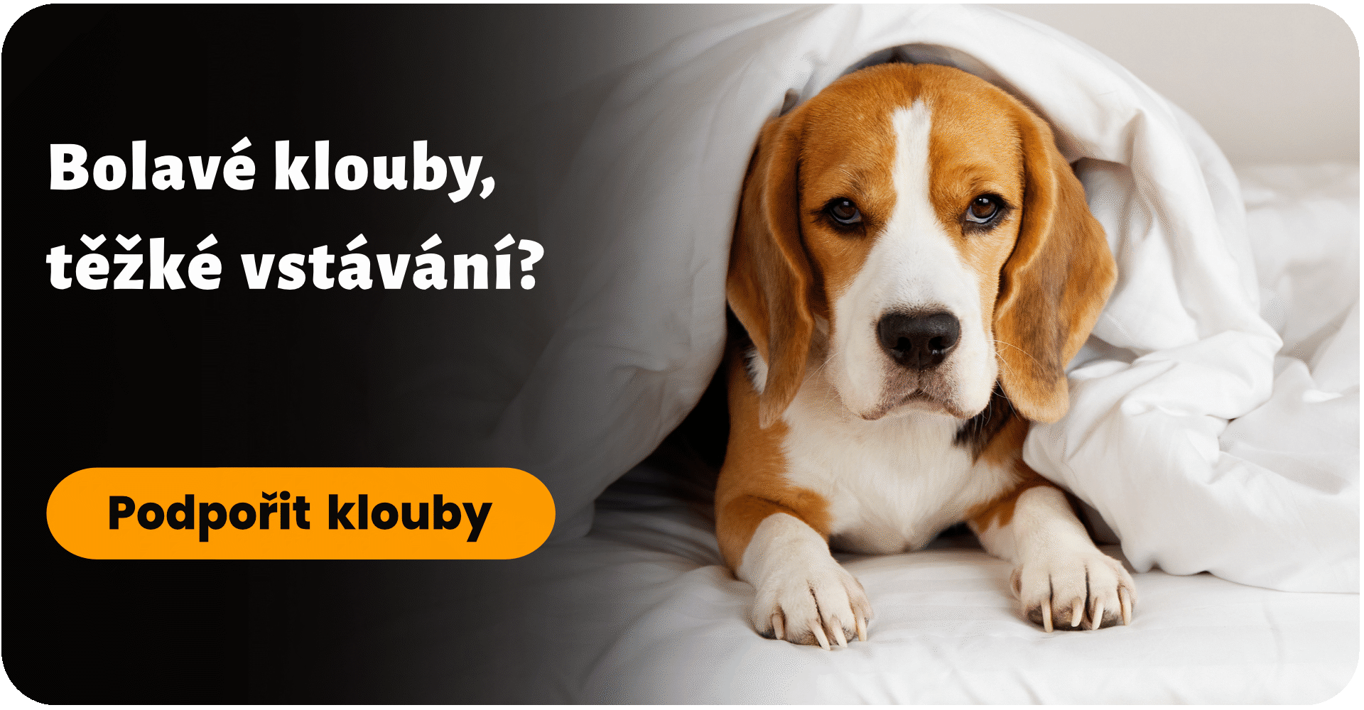 Bolavé klouby - Boswellia