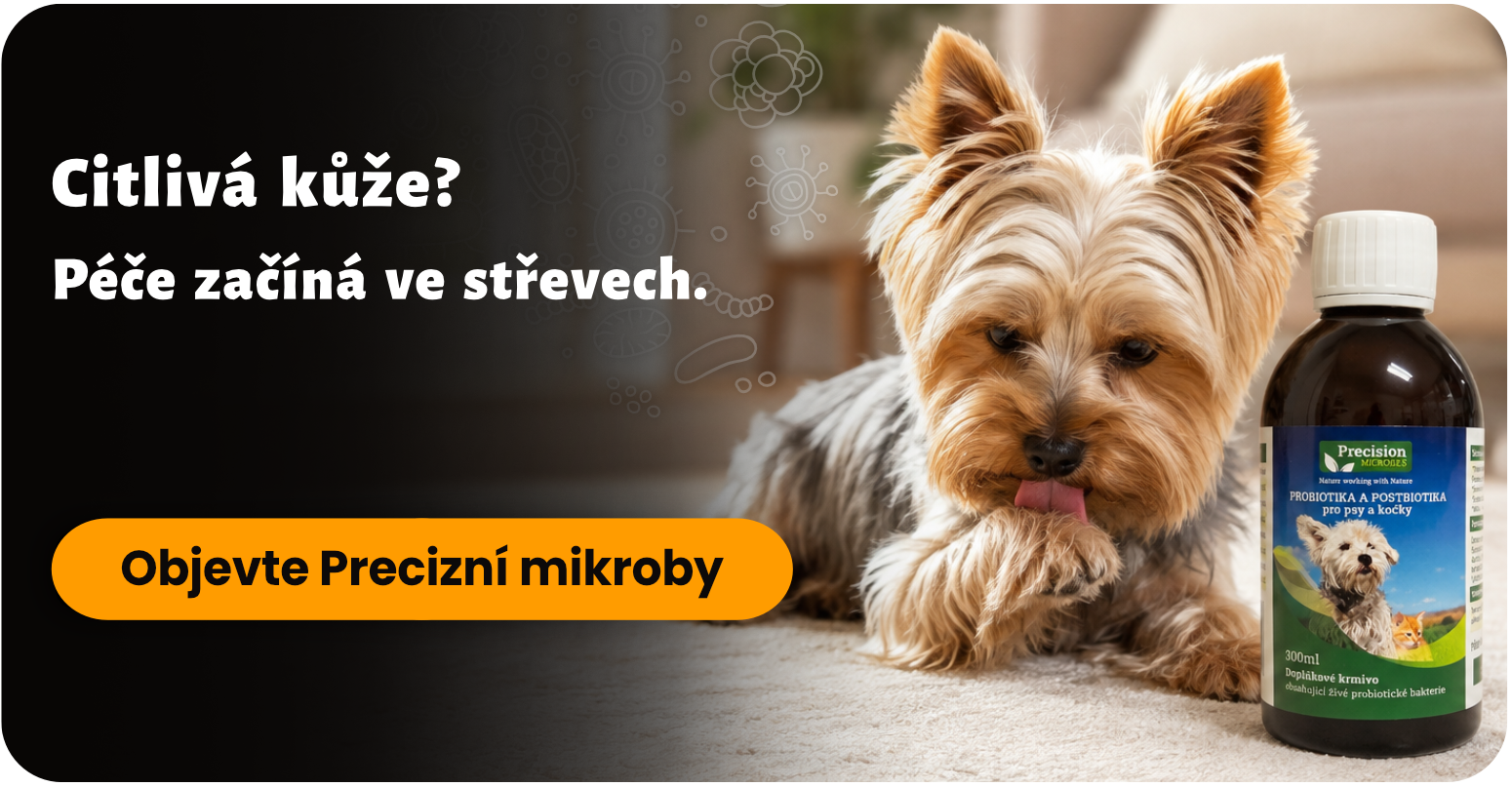 Citlivá kůže? Podpořte střeva - Precizní mikroby