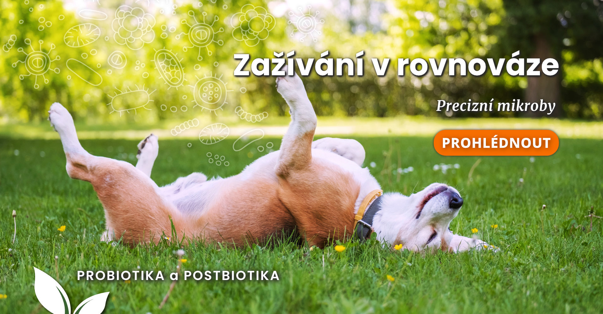 Precizní mikroby - zažívání v rovnováze
