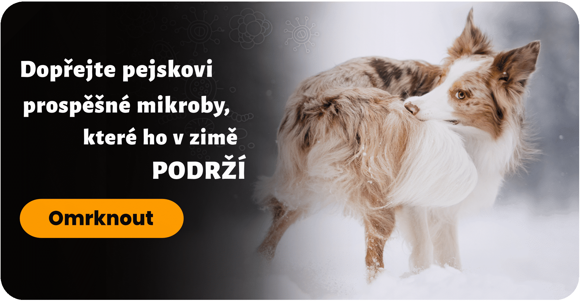 Precizní mikroby PODRŽÍ