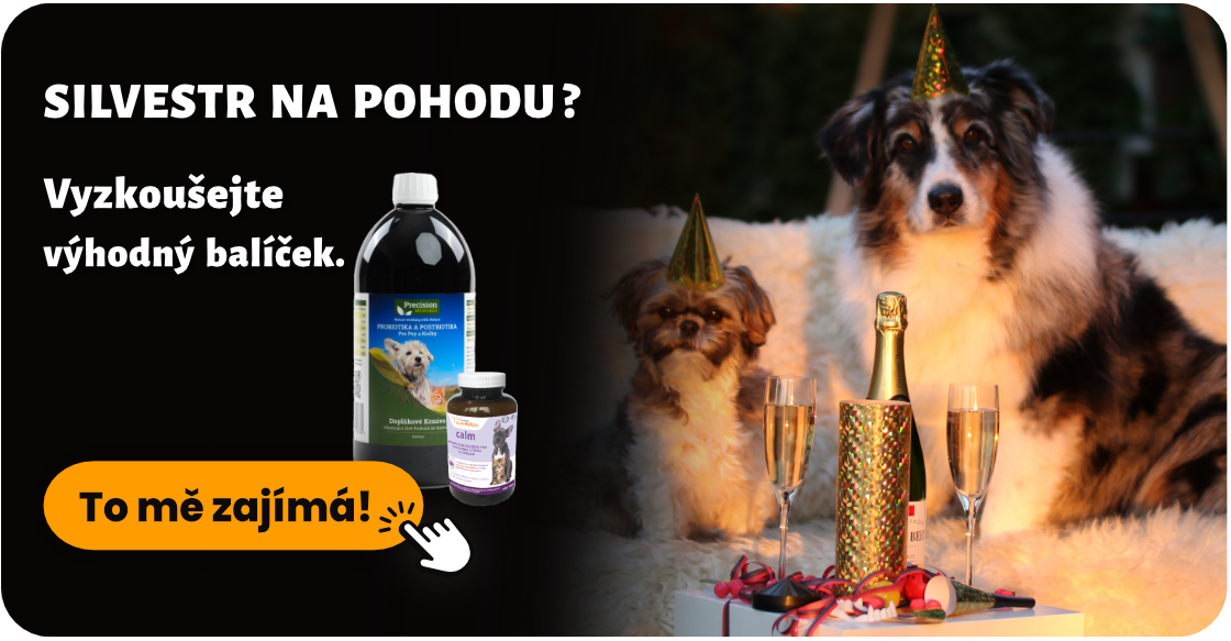 Jak zvládnout Silvestra s pejskem či kočičkou na pohodu?