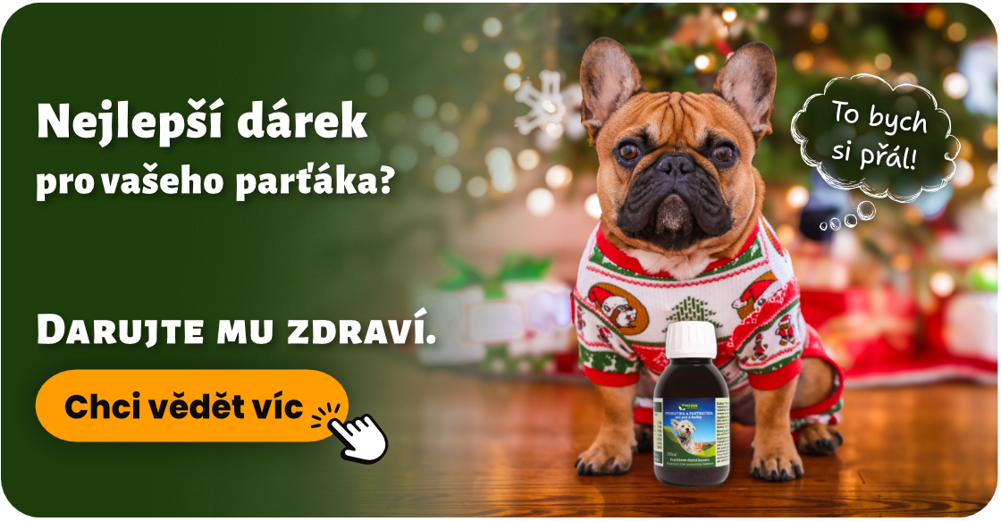 Nejlepší dárek pro parťáky !