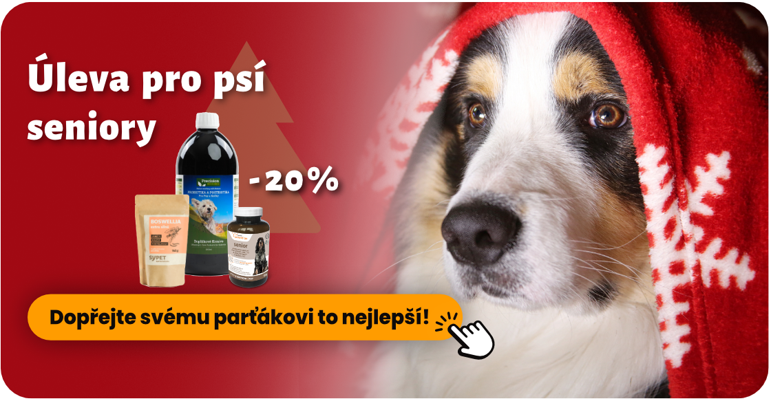 Úleva pro psí seniory na Silvestra