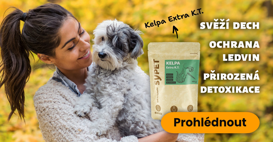 Kelpa Extra K.T. pro svěží dech, ochranu ledvin a přirozenou detoxikaci