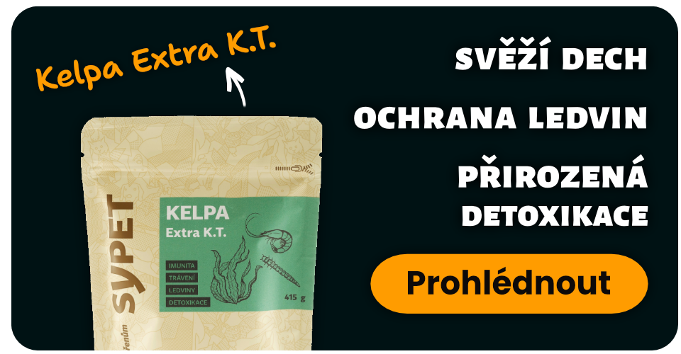 Kelpa Extra K.T. pro svěží dech, ochranu ledvin a přirozenou detoxikaci