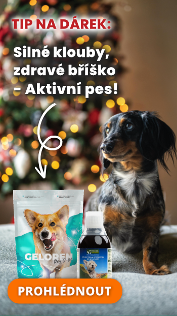 Tip na dárek pro malé a střední psy