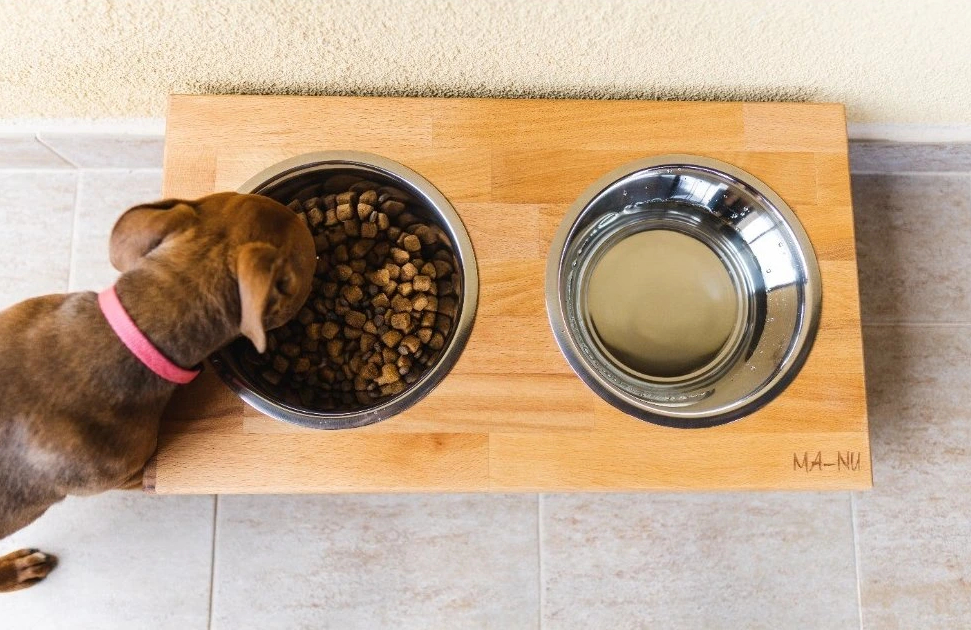 1455-5_253bd26d82e77775dba2c0953ae16c0368d954a1-img05824