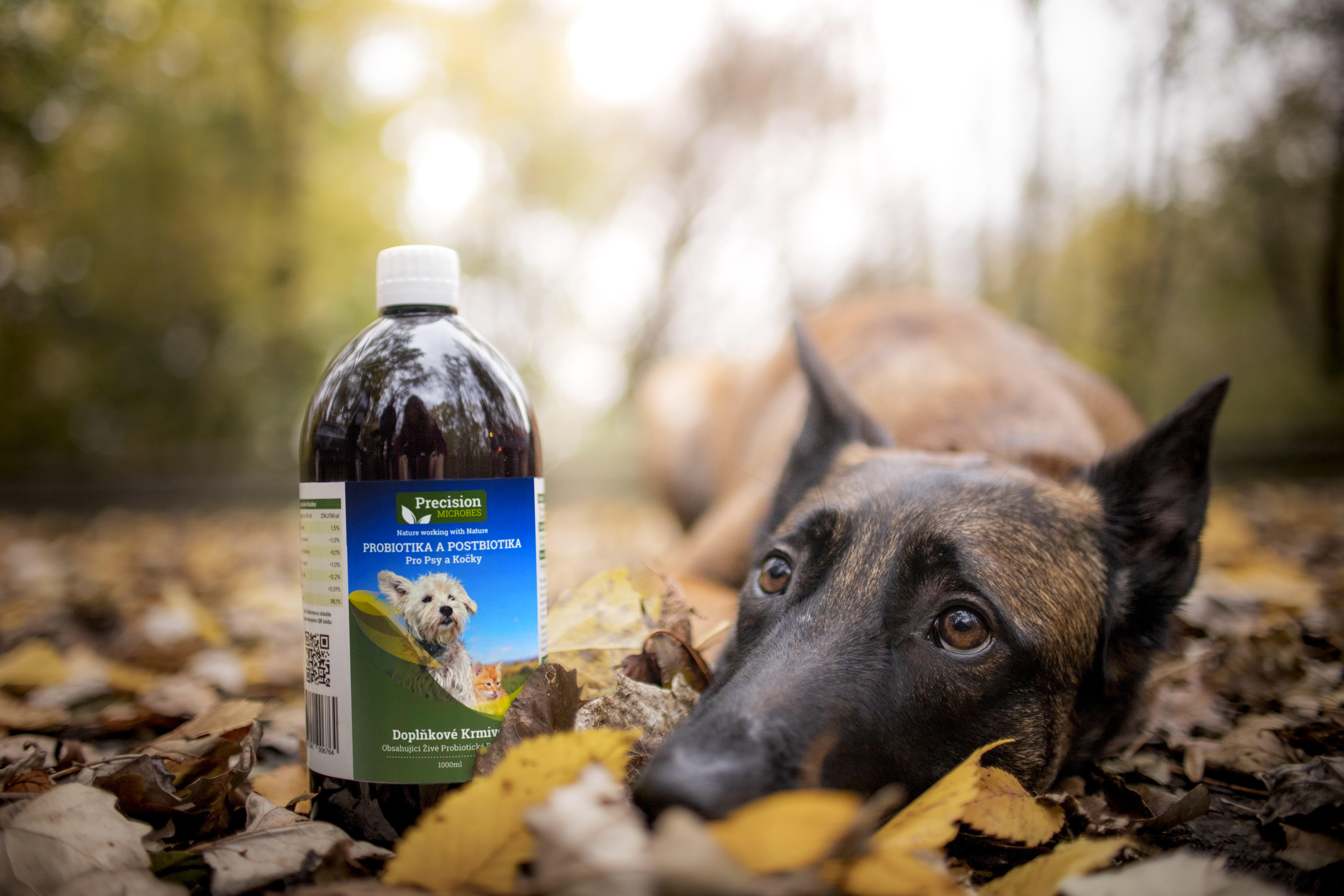 PROBIOTIKA-A-POSTBIOTIKA-PRO-PSY