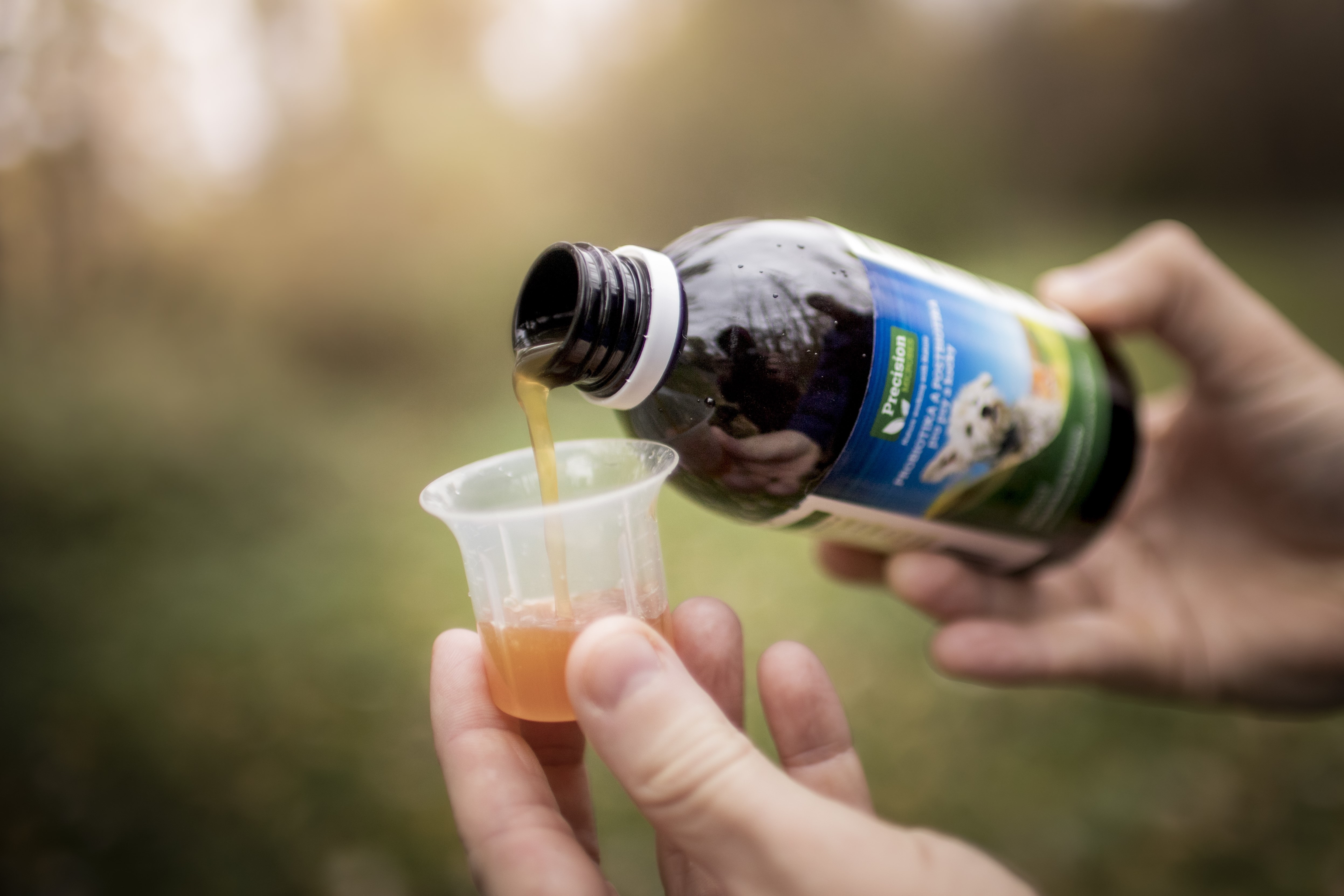 Precizni-mikroby-probiotika-a-postbiotika-pro-psy-a-kocky-davkovani