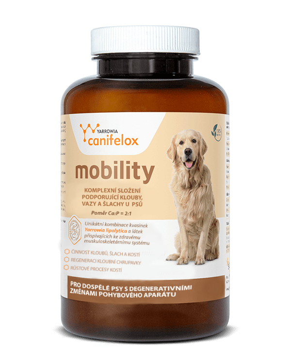 Canifelox Mobility tablety - kloubní výživa pro psy Balení: 120 tbl.