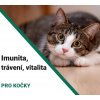 balíček vetyszoo imun boost cat4