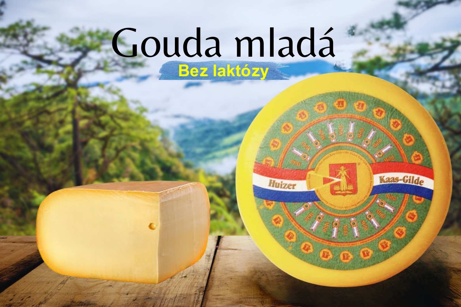 Gouda mladá bez laktózy