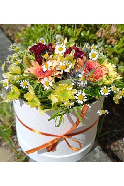 WhatsApp Image 2026 01 13 at 12.09.32