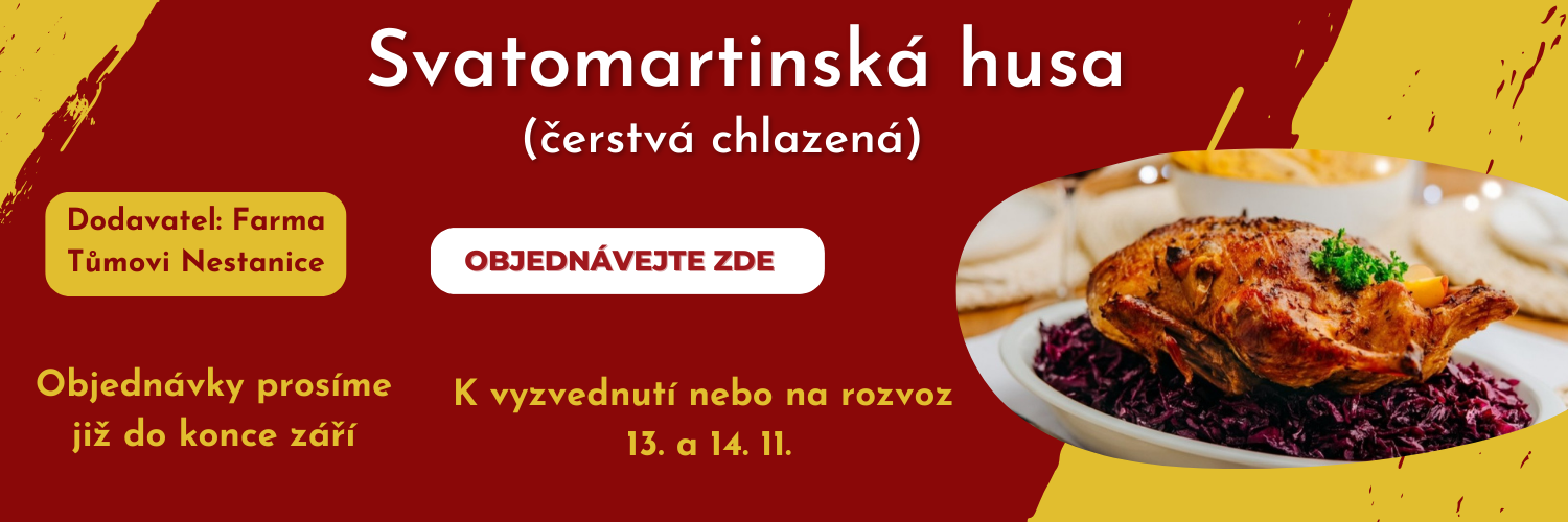 Svatomartinská husa