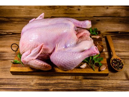 iStock 1254561376NCrgVi