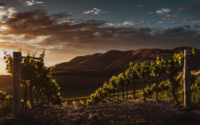 10 tipov, kam sa vydať a čo zažiť v apríli: Najkrajšie miesta na dovolenku v apríli