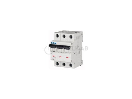 Jistič EATON PL6-C6/3 6A (286598)