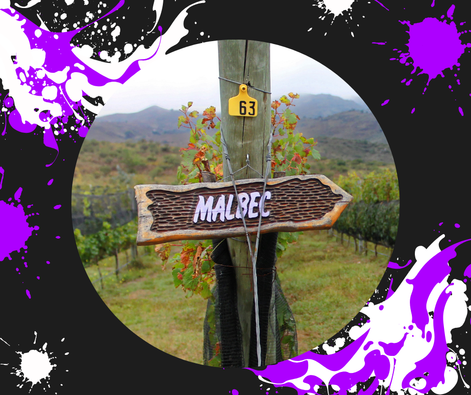 DEN VÍNA:  Malbec #MalbecDay