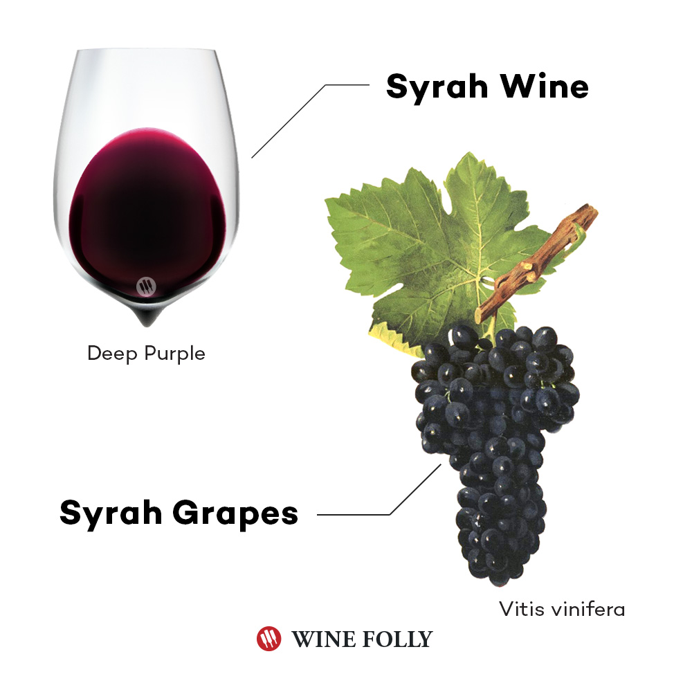 Syrah-Grape-Wine-in-Glass-Color-WineFolly-4