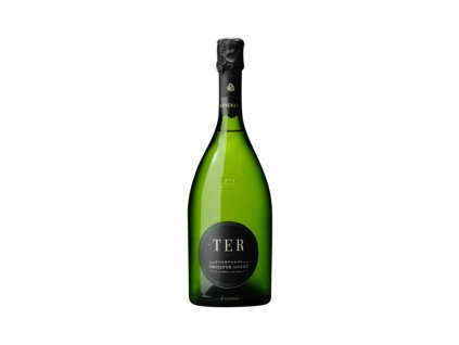 Chamapgne Philippe Gonet Tér Noir Extra Brut