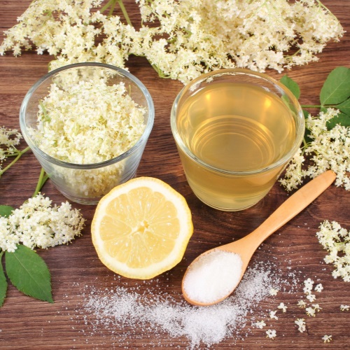 Podpora imunity i očista organismu