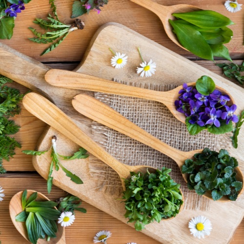 První jarní bylinky v kuchyni