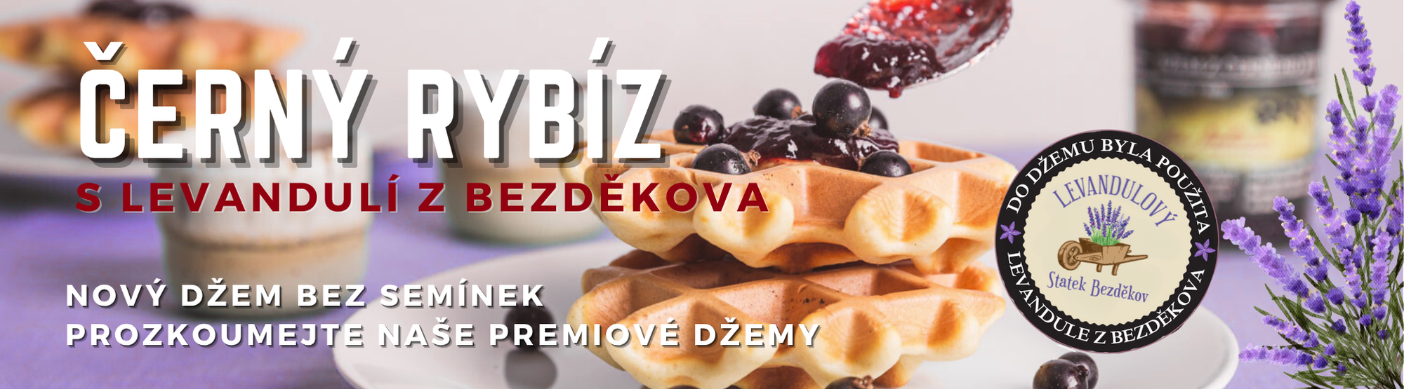 Černý rybíz