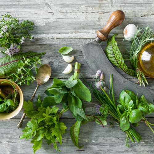 10 bylinek do kuchyne - pestovani domacich bylinek na parapetu a balkone, bazalka, mata, medunka, rozmaryn, tymian, petrzelka