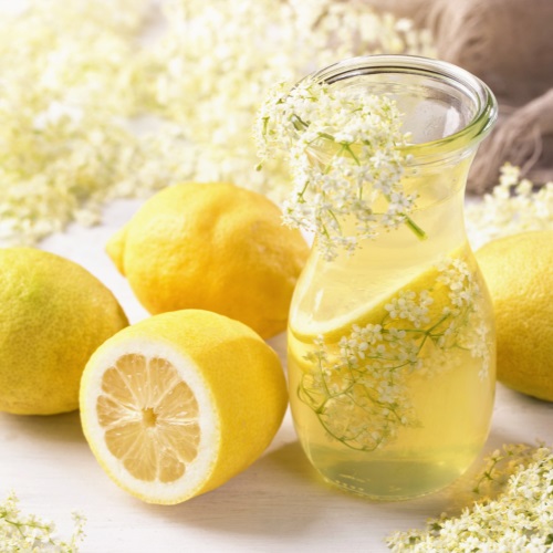 zpracovani jarni bylinky cely rok - suseni bylinek, skladovani v sklenicich Weck, nalozeni do oleje, pesto, bylinkove maslo, mrazeni v oleji, bylinkove sirupy