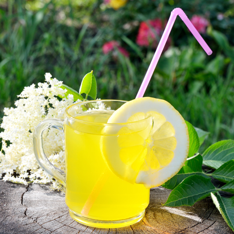 Domácí limonáda z černého bezu