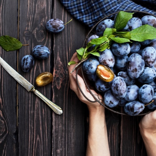 zari podzim tradice sklizen vinobrani