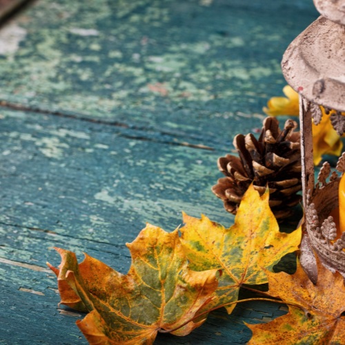 listopad podzim mlhy svaty martin a dusicky