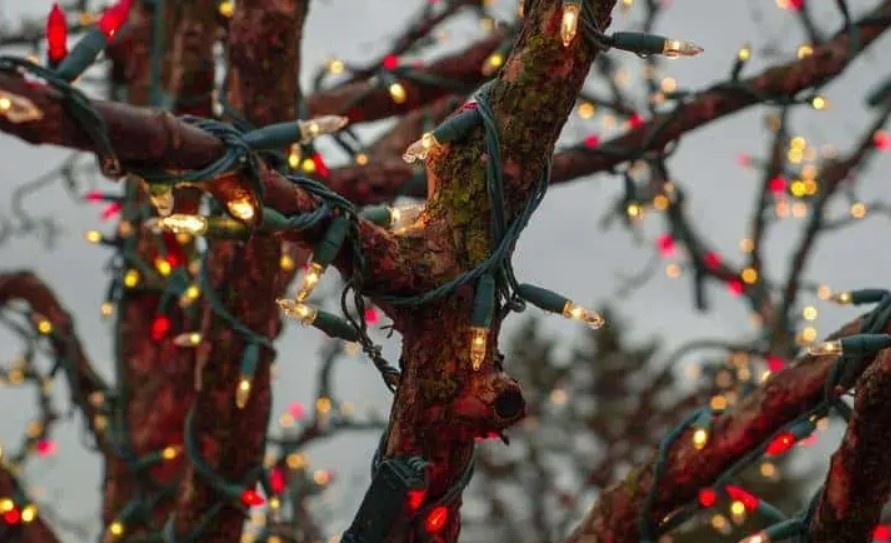 Aký stupeň krytia IP potrebujete pri výbere vianočného osvetlenia?