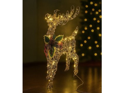 8823 1 b85dda03 30b6 4455 88a7 58997aea7f38 fotor 20250715171828