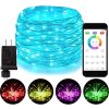 Vánoční LED mikro řetěz, ovládání světel pomocí chytrého telefonu, 10m, 100 LED